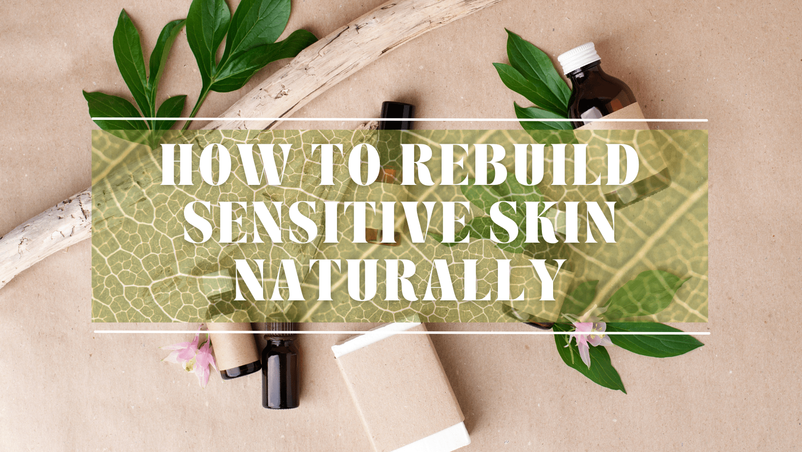 Barrier Repair 101: How to Rebuild Sensitive Skin Naturally - FloThéa Organics